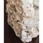 Paradise Shell Table Lamp - Couture Lamps